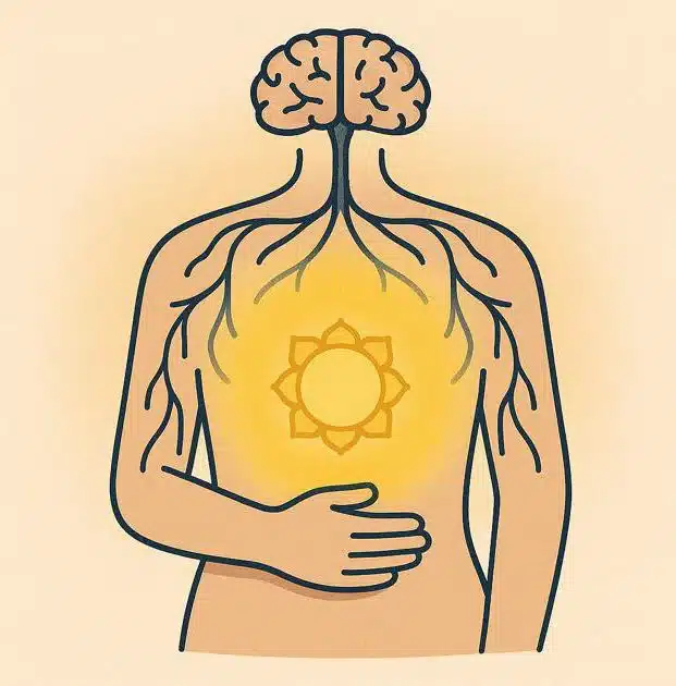 Representación del centro abdominal con vías nerviosas y luz amarilla, simboliza a Manipura como una potencia